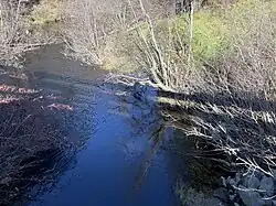 Ruisseau Ayotte, du pont P01551, rang Price