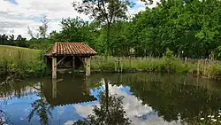 Le lavoir sur l'étang.