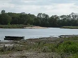 Les rives de la Loire à Sainte-Gemmes.