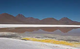 Vue du Acamarachi et Colachi dominant le salar de Pujsa.