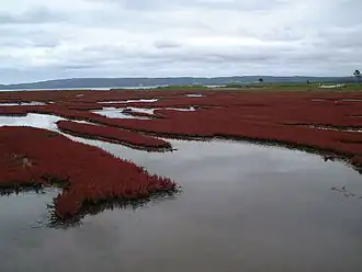 Image illustrative de l’article Lac Notoro