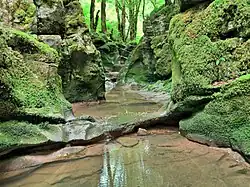 Petit canyon sur le ruisseau du Todeur.