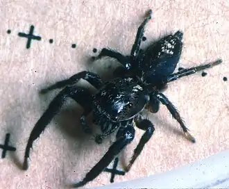 Description de cette image, également commentée ci-après