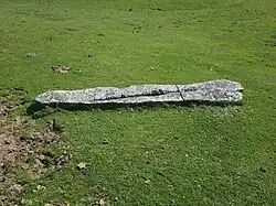 Le menhir couché de Saltarri, dans le parc naturel d'Aralar.