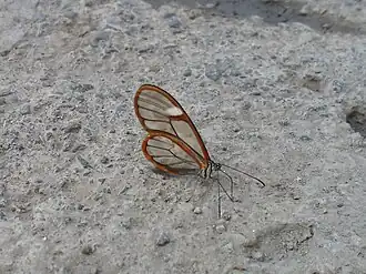 Description de cette image, également commentée ci-après