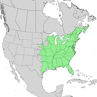Description de l'image Sambucus nigra canadensis range map 1.png.