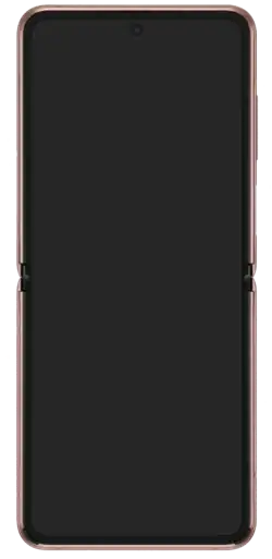 Image illustrative de l’article Samsung Galaxy Z Flip