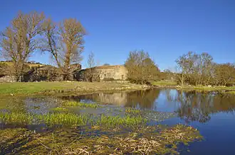 San Pelayo de Guareña