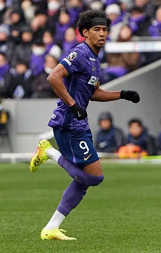 Image illustrative de l’article Ryo Germain