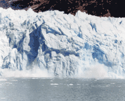 Un pan du glacier Spegazzini se détachant.