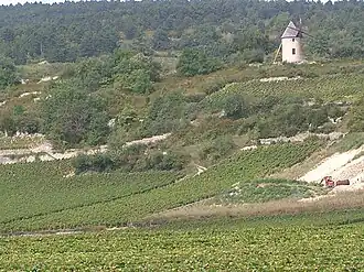 Image illustrative de l’article Santenay (AOC)