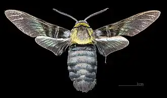 Description de cette image, également commentée ci-après