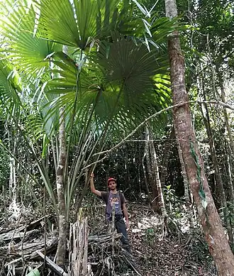 Description de cette image, également commentée ci-après