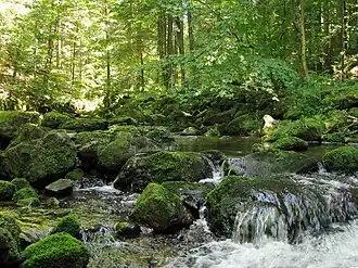 Image illustrative de l’article Saußbach (Wolfsteiner Ohe)