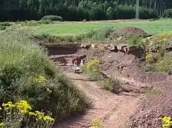 Vue de la carrière de Bromacker où affleure les strates de la formation de Tambach.