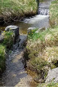 Ru a proximité de la jasserie.