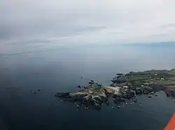La pointe des poulains