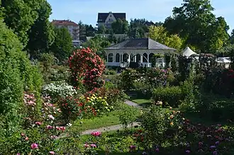 Image illustrative de l’article Roseraie de Saverne