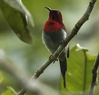 Description de cette image, également commentée ci-après