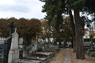 Vue d'une allée du cimetière.