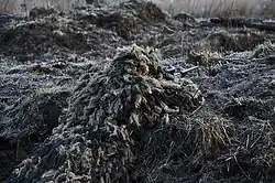 Au-delà de la couleur, la texture du tireur se fond dans l'environnement.