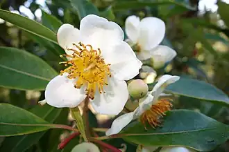 Description de cette image, également commentée ci-après