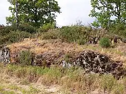 Photographie d'un affleurement de schiste naturel.