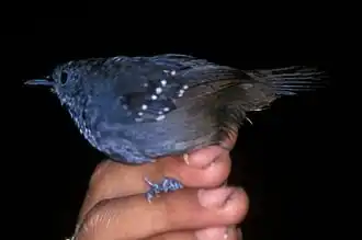 Description de cette image, également commentée ci-après