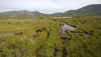 Paysage du marais de Schiniás.