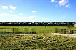 Photographie en couleurs d'un pré clôturé