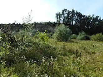 Image illustrative de l’article Sablière de Schoppach