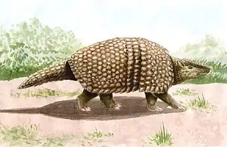 Description de cette image, également commentée ci-après