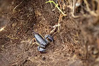 Description de cette image, également commentée ci-après