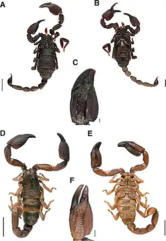 Description de cette image, également commentée ci-après