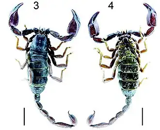 Description de cette image, également commentée ci-après