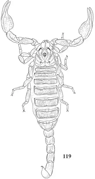 Description de cette image, également commentée ci-après