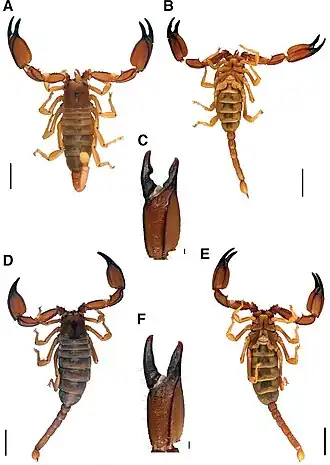 Description de cette image, également commentée ci-après