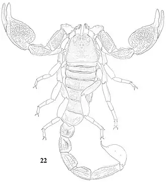 Description de cette image, également commentée ci-après