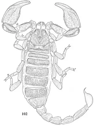 Description de cette image, également commentée ci-après