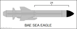 Sea Eagle