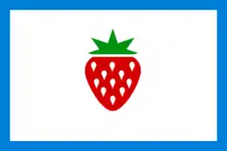 Drapeau de Comté de Searcy