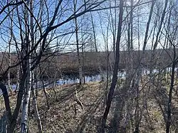 Tourbière du Lac-à-la-Tortue, route 359 (route de Lac-à-la-Tortue)