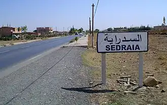 Sedraia