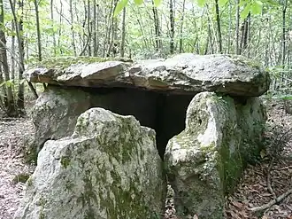 Dolmen de la Pierre au Loup.