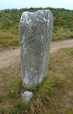 Menhir de Rojou