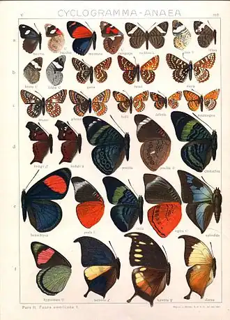 Description de l'image Seitz.jpg.