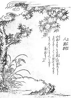 Jinmenju (人面樹?, « arbre à visage humain ») est un arbre qui pousse dans les cavités des montagnes reculées, avec des fleurs qui ressemblent à des visages humains. Ces visages sont toujours souriants, même lorsqu'ils chutent des branches.
