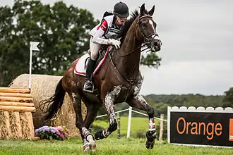 La Canadienne Selena O'Hanlon sur Foxwood High.