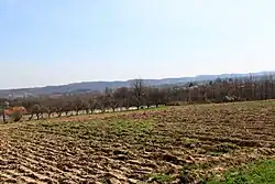 Vue du territoire du village