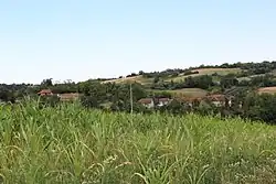 Miličinica - Panorama